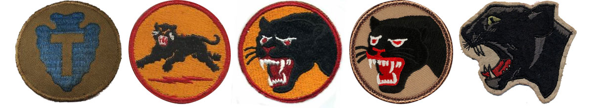 36th Infantry Panther Division