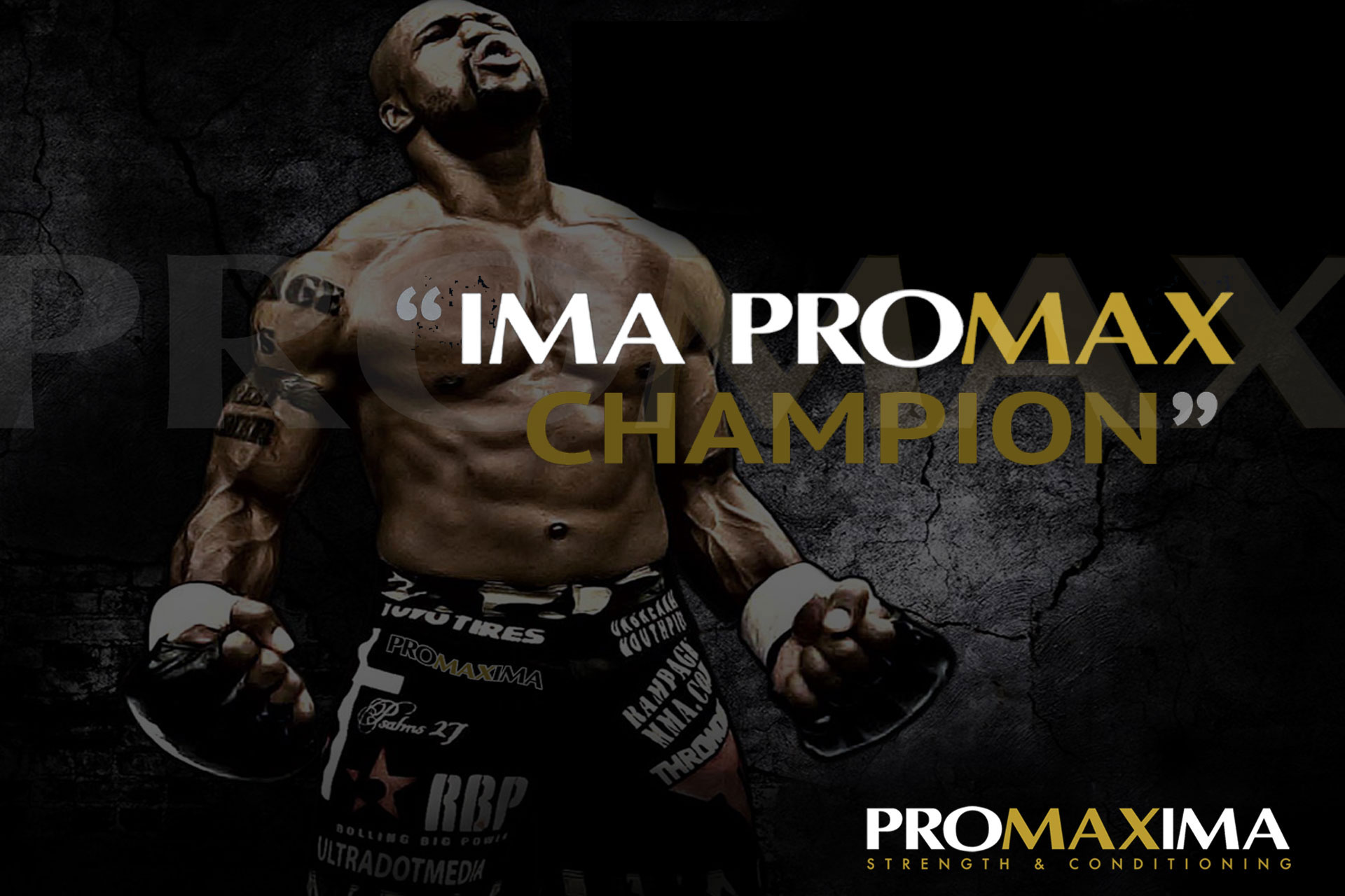 Promaxima Logo transformation