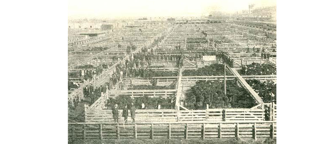 St Joseph Stockyards History